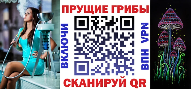 дарк нет какой сайт  даркнет сайт  Монино  Галлюциногенные грибы Psilocybe 